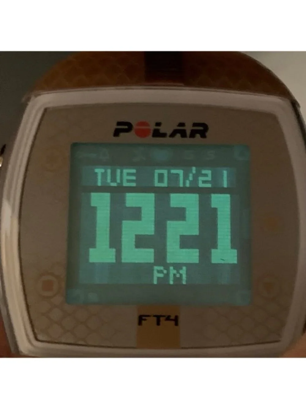 Polar ft4 digital